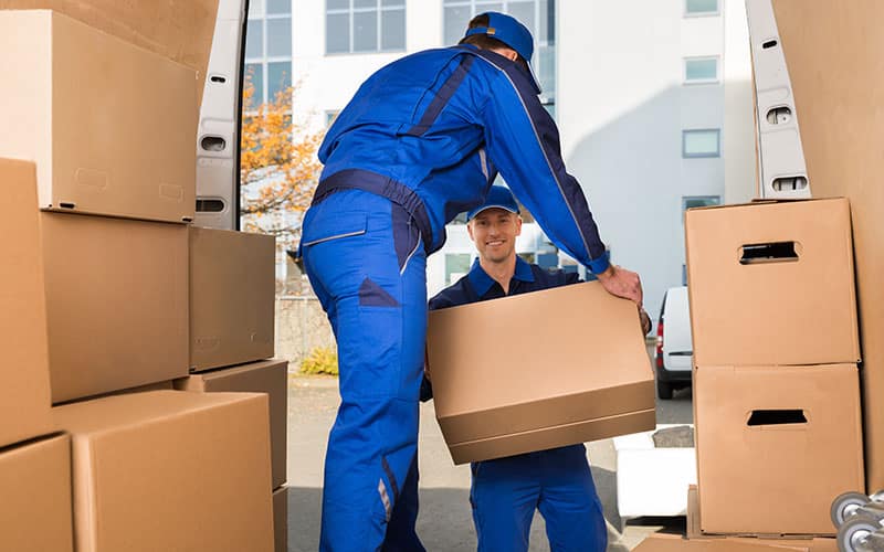 Removal Services Removal Services