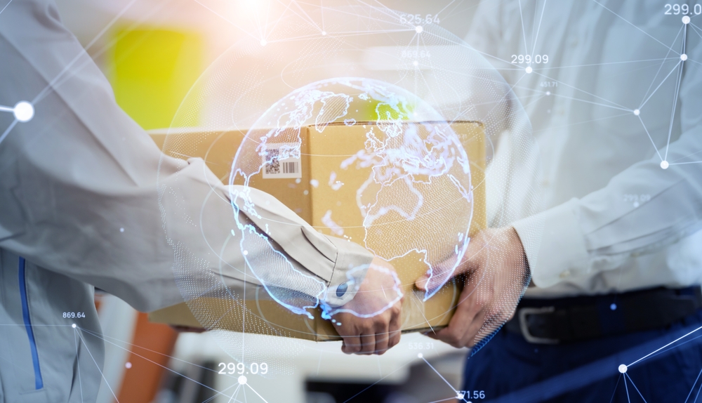 Choosing the Perfect International Removals Company